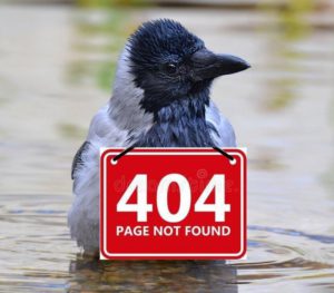 Вид: Kabtim-t Error 404