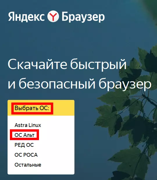 Скачать браузер Yandex с сайта госуслуг.